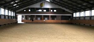 hallenboden.jpg