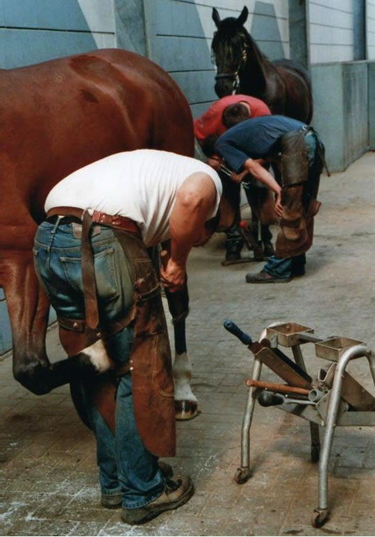 Hufschmied bei der Arbeit