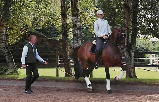 Handarbeit im Grand Prix-Training