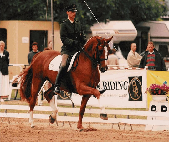 Worryentes unter Harald Ricken